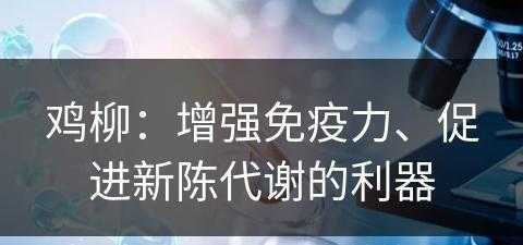 鸡柳：增强免疫力、促进新陈代谢的利器